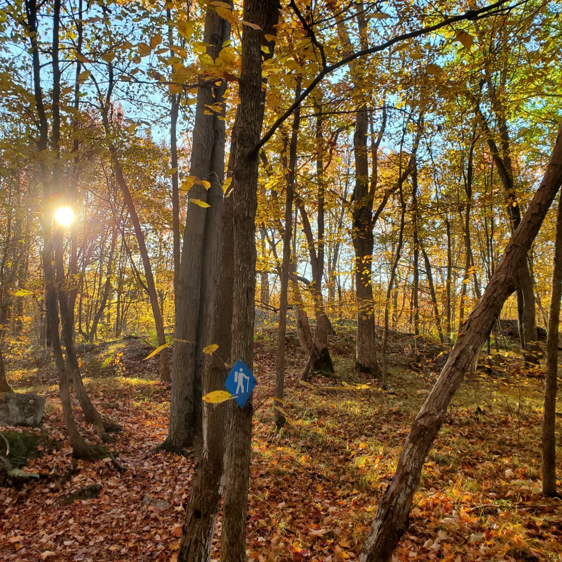 The Happy Camper: Taking on the Frontenac Challenge, Part 2