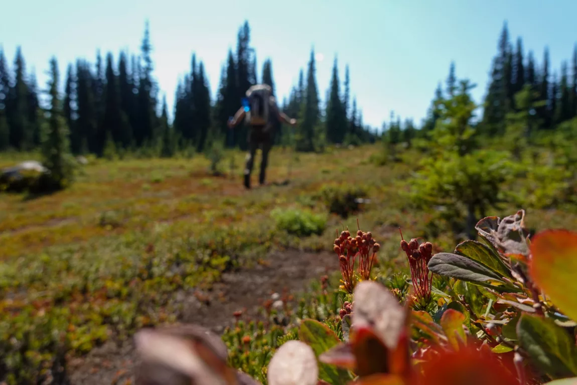 Hudson’s Bay Stores Have Closed, But You Can Discover its History on This 80-km Trail