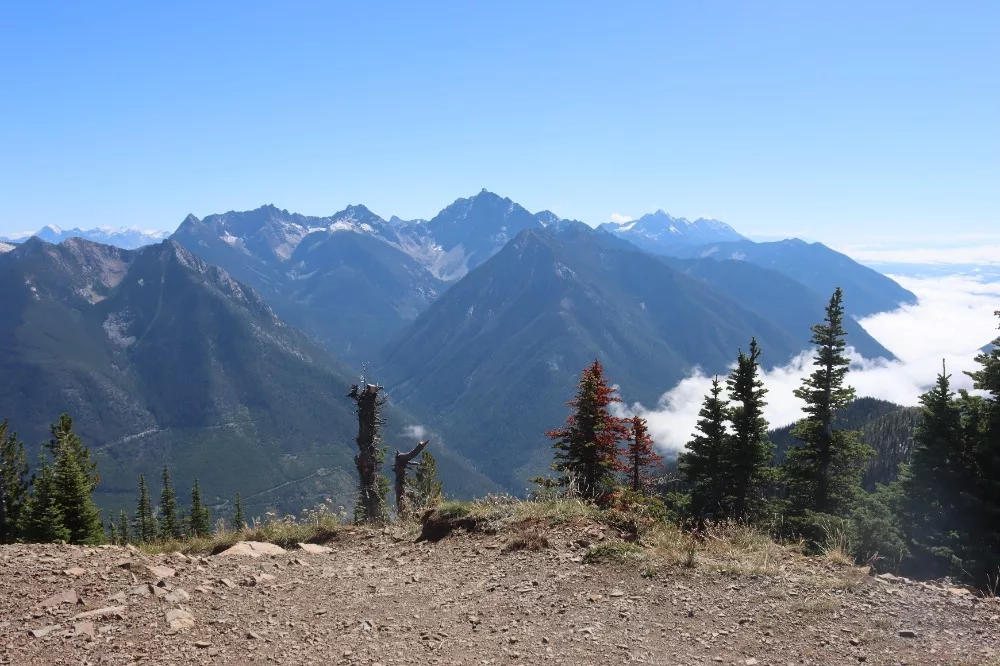 10 Best Hikes Near Cranbrook You Need to Check Out
